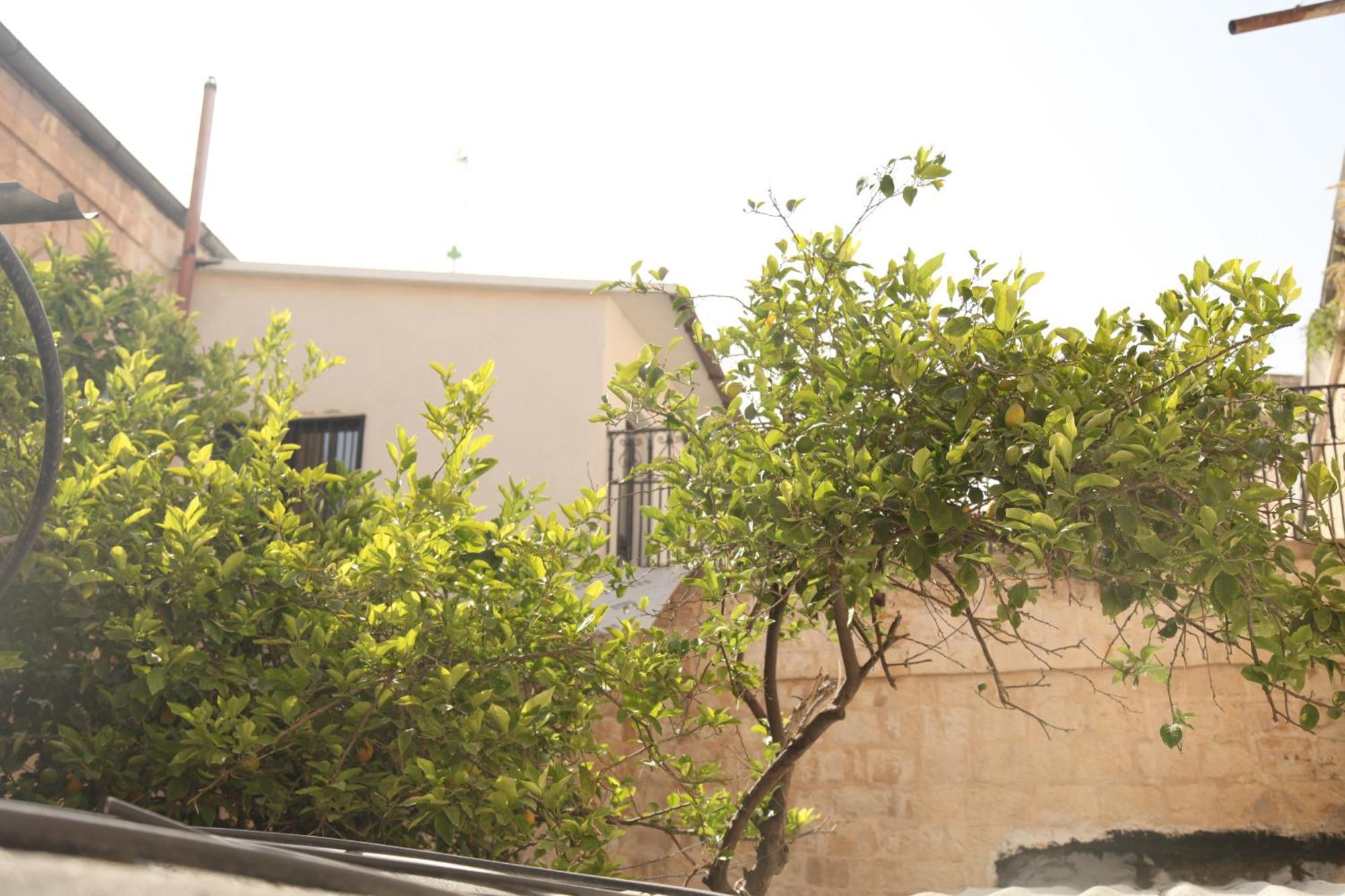 Habira Apartments Jerusalem Eksteriør billede
